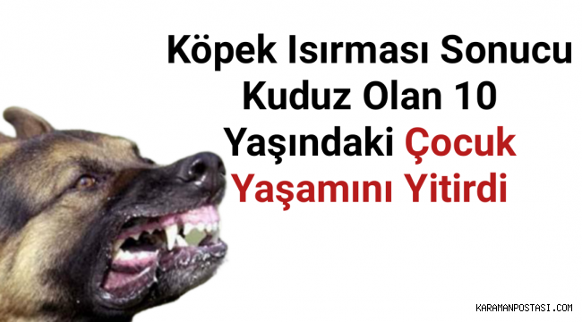 Köpek Tarafından Isırılan Çocuk Hayatını Kaybetti