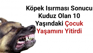Köpek Tarafından Isırılan Çocuk Hayatını Kaybetti