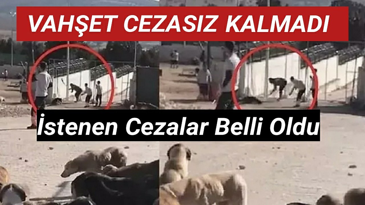 Allah'ın Sessiz Kullarına Yapılan Vahşet Cezasız Kalmadı