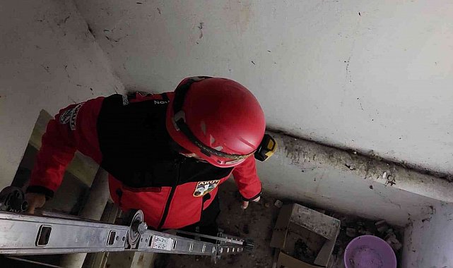 Apartman boşluğunda mahsur kalan kediyi AKUT ekibi kurtardı