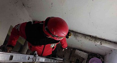 Apartman boşluğunda mahsur kalan kediyi AKUT ekibi kurtardı