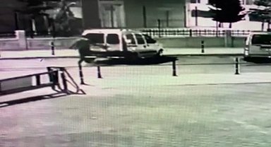 Araçlardan hırsızlık yaptı, izini kaybettirmek için mezarlıktan kaçtı