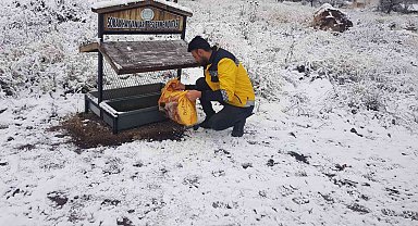 Belediye ekipleri sokak hayvanlarını unutmuyor