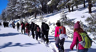 Çatacık Ormanları ekoturizme açılıyor