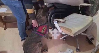 Cephane gibi iş yerine jandarmadan operasyon
