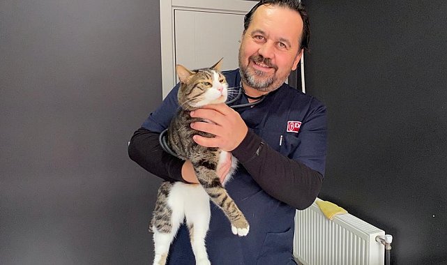 Çip uygulaması birçok fayda sağlayacak