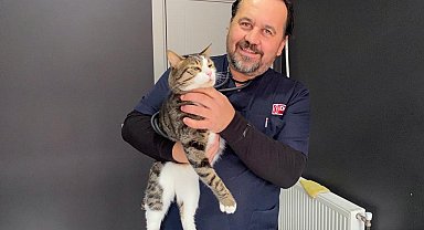 Çip uygulaması birçok fayda sağlayacak