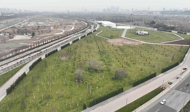 Doğal Yaşam ve Atatürk Çocukları Parkı'nın yapımı sürüyor