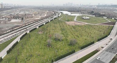 Doğal Yaşam ve Atatürk Çocukları Parkı'nın yapımı sürüyor