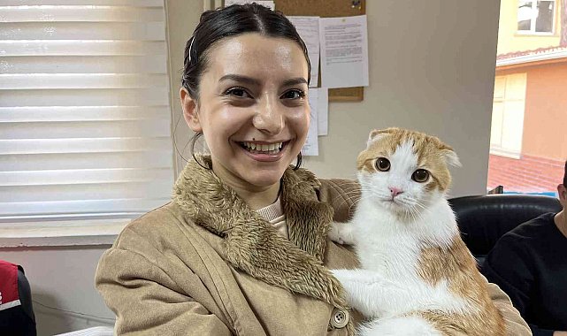 Evcil hayvanlar için çip yoğunluğu