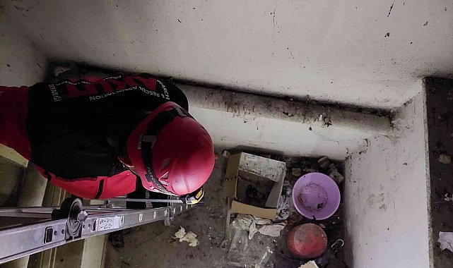 Havalandırma boşluğunda mahsur kalan kedi AKUT gönüllüleri tarafından kurtardı