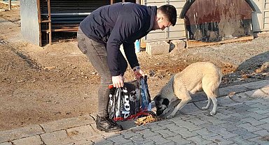 Hayvan dostu belediye, sokak hayvanlarının mama ve suyunu eksik etmiyor