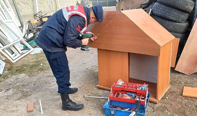 Jandarma, geri dönüşümden topladığı malzemelerle hayvanlara yuva yaptı