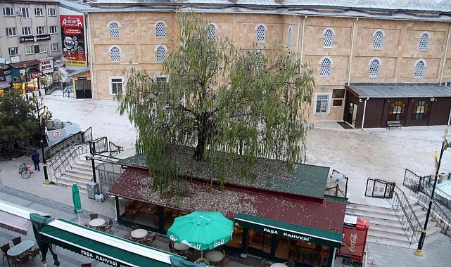 Kafenin ortasından yükselen ağaç dikkat çekiyor