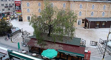 Kafenin ortasından yükselen ağaç dikkat çekiyor