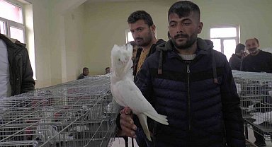 Kapadokya'da süslü kuşlar görücüye çıktı