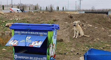 Karaman'da sokak hayvanları için beslenme noktaları yapılıyor