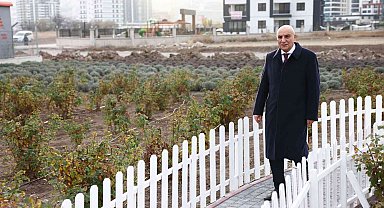 Keçiören'in lavanta ve gül bahçesi genişletiliyor