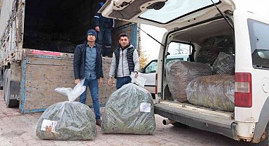 Konya Büyükşehir'in üreticiye lavanta fidesi desteği sürüyor