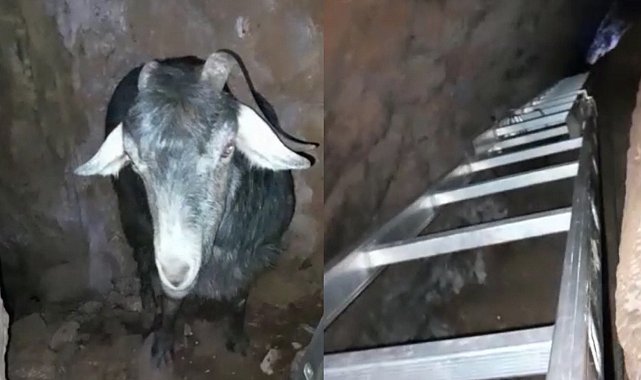 Mağarada keçi kurtarma operasyonu