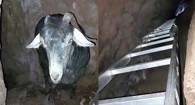 Mağarada keçi kurtarma operasyonu