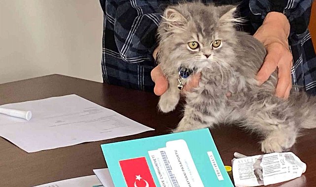 Nevşehir'de 3 bin 200 evcil hayvan çiplendi