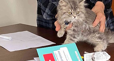 Nevşehir'de 3 bin 200 evcil hayvan çiplendi