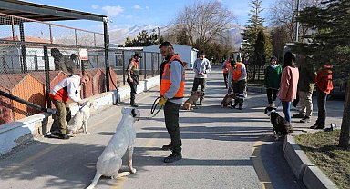 Niğde'de tehlikeli köpeklere uyum eğitimi veriliyor