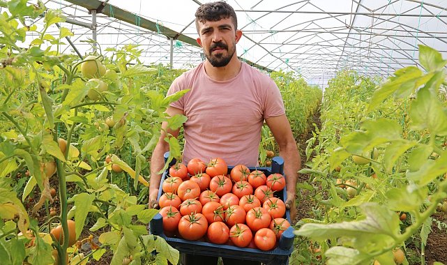 Şehir hayatını bırakıp köyünde sera kurdu