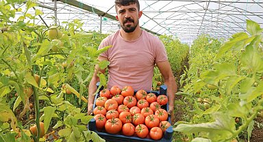 Şehir hayatını bırakıp köyünde sera kurdu