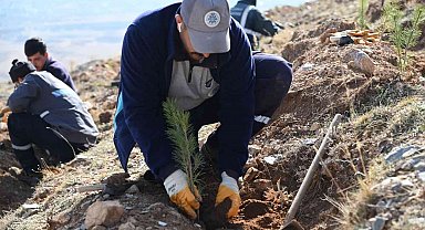 Selçuklu'da yeşil dokuya 22 bin 500 yeni fidan daha kazandırıldı