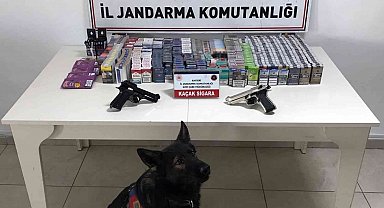 Sigara kaçakçısı jandarmadan kaçamadı