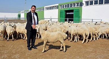 TÜDKİYEB Genel Başkanı Çelik: "Türkiye'nin yüzyılında küçükbaşı atağa geçirecek hamleler yapılmalı"