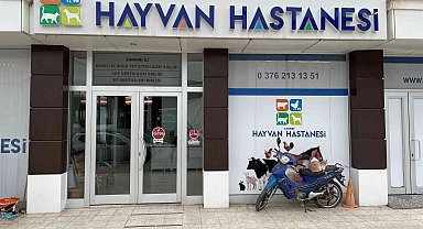 Türkiye'deki 3 hayvan hastanesinden birisi: Bölgedeki çiftçiler için umut oldu