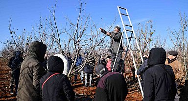 Üreticilere budama eğitimi verildi