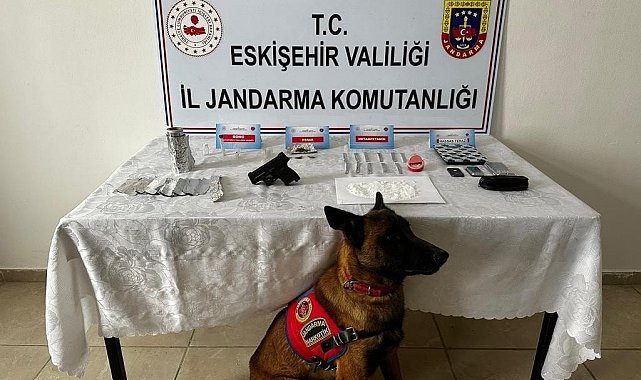 Uyuşturucu madde satıcısının evine narkotik köpeği 'Bando' ile baskın yapıldı
