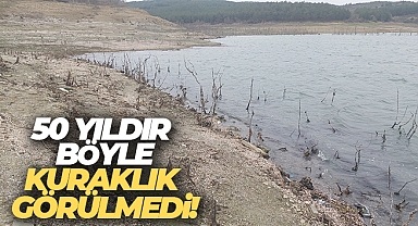 50 yıldır böyle kuraklık görülmedi: Dipteki ağaçlar ortaya çıktı