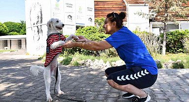 503 canın daha sıcak bir yuvası oldu