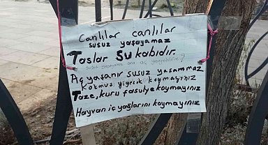 Atık yemekler hayvanlara yarar değil zarar veriyor