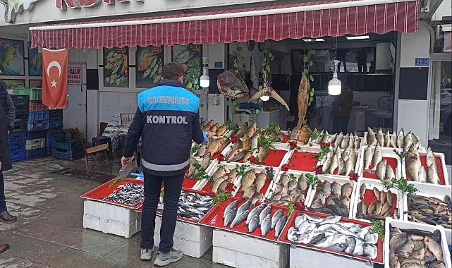 Beyşehir'de balık satış noktalarında denetim