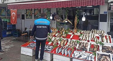 Beyşehir'de balık satış noktalarında denetim