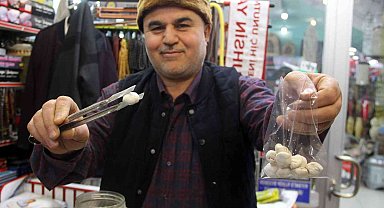 Bu sakızın fiyatı altın fiyatını ikiye katladı