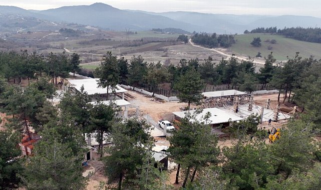 Bursa'da can dostlara rehabilitasyon merkezi şekilleniyor