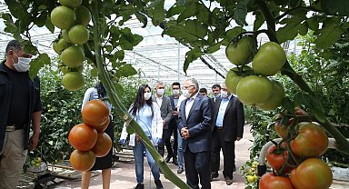 Büyükşehir, 1 yılda 13 milyon kilogram evsel atığı bertaraf etti