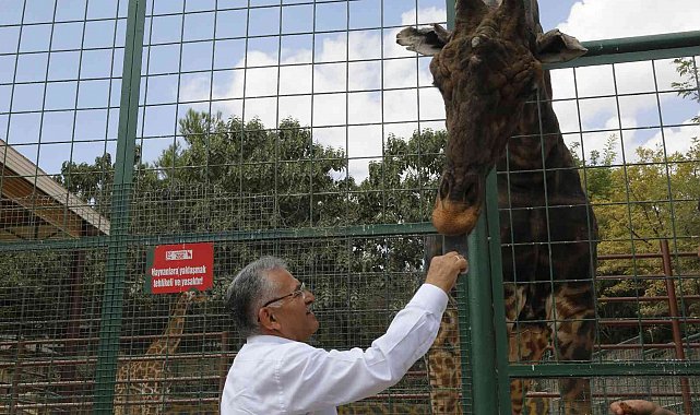 Büyükşehir Hayvanat Bahçesi'ne 1 yılda toplam 375 bin ziyaretçi