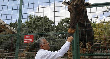 Büyükşehir Hayvanat Bahçesi'ne 1 yılda toplam 375 bin ziyaretçi