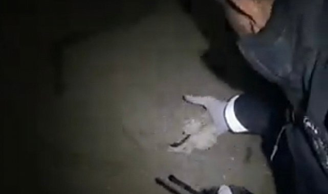 Çaldığı silahı toprağa gömmüş, paraları odunluğa saklamış