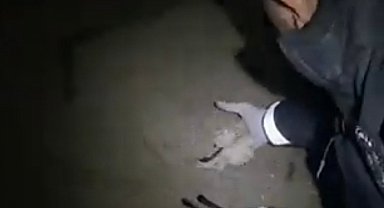 Çaldığı silahı toprağa gömmüş, paraları odunluğa saklamış