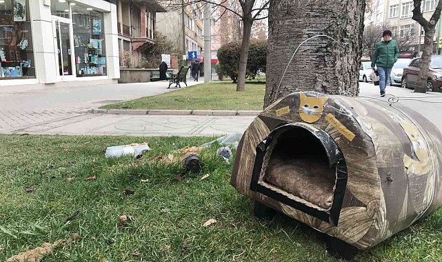 Çalınmasın diye hayvan kulübesini çelik telle ağaca bağlandılar