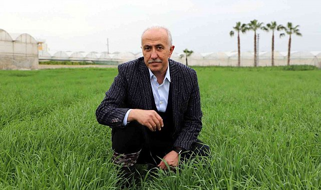 Deneme amaçlı ekilen atalık karakılçık buğdayı tohumu boy verdi